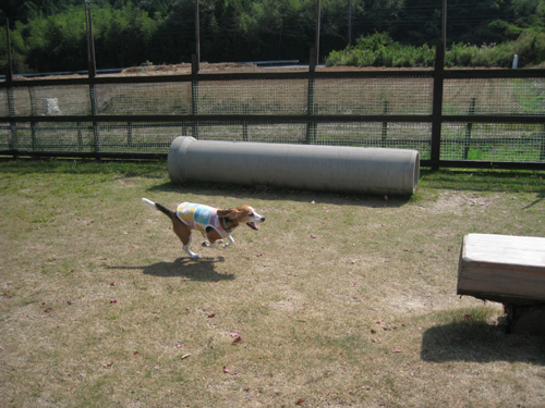 img20091006.jpg