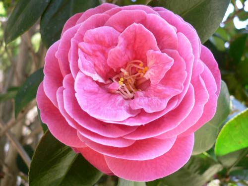 img20050428_2.jpg