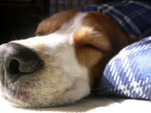 img20060227_1.jpg