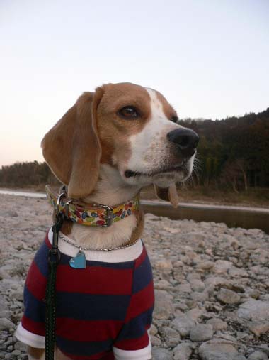 img20060130.jpg