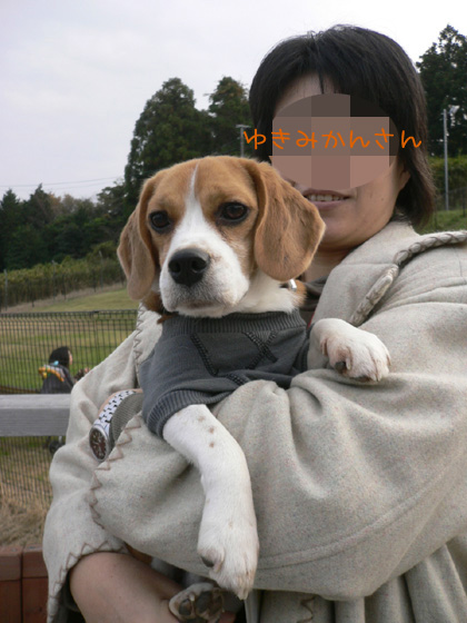 img20061126_4.jpg