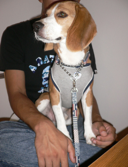 img20060828_5.jpg
