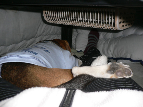 img20070125.jpg