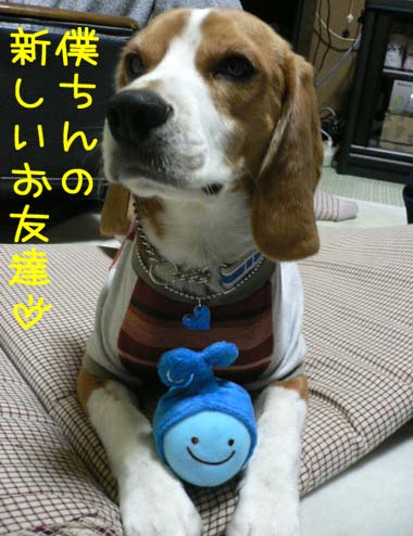 img20060127.jpg