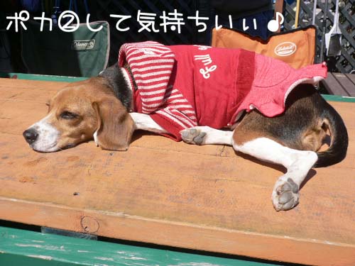 img20060326_1.jpg