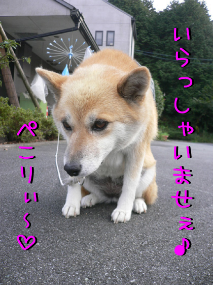 img20061029_2.jpg