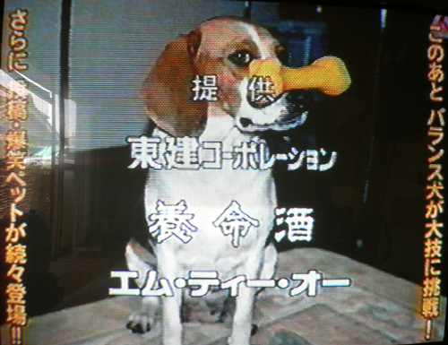 img20070602_5.jpg