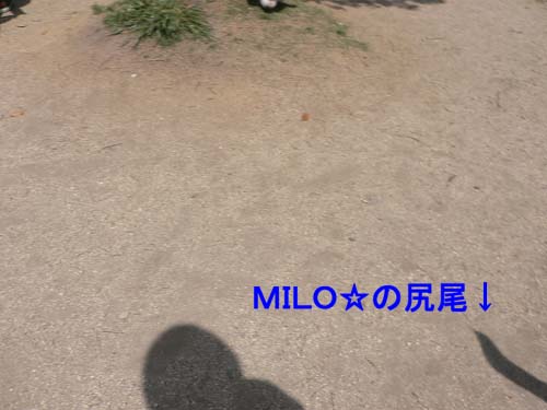 img20050425_4.jpg