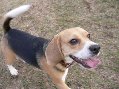 img20061126_7.jpg