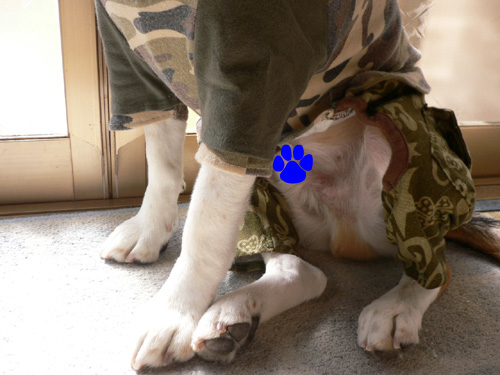 img20070205_1.jpg