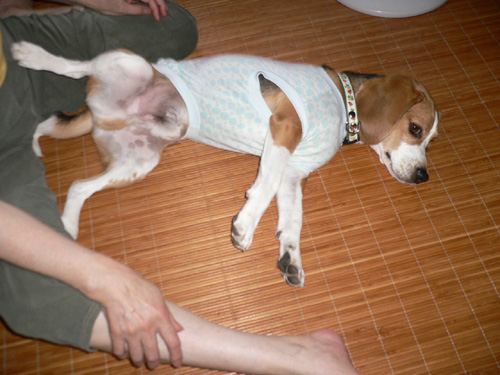 img20060712_2.jpg