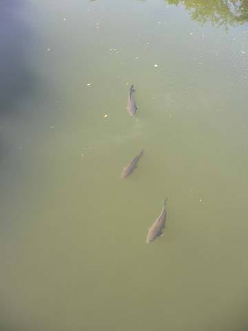 img20050425_2.jpg