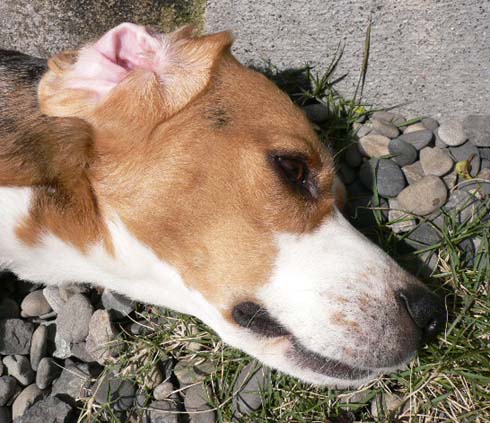 img20050425.jpg