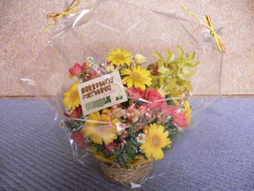 img20050310_3.jpg