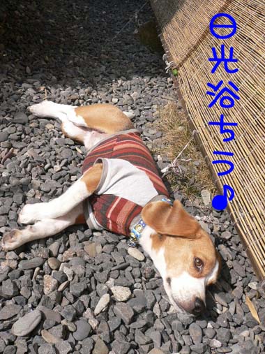 img20060222.jpg