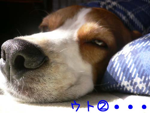 img20060227_3.jpg