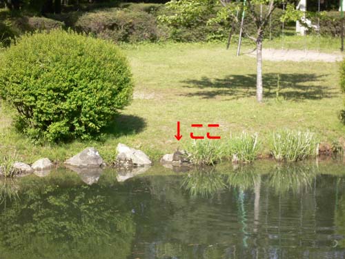img20050425_1.jpg
