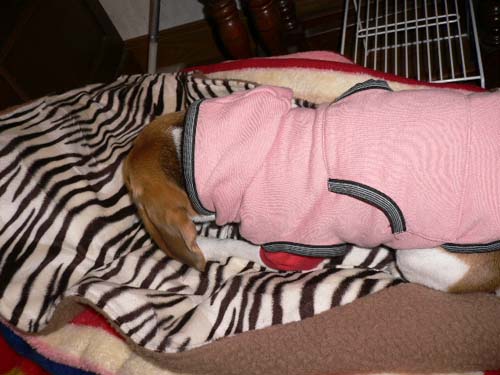 img20051226_3.jpg