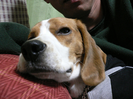 img20050323_1.jpg