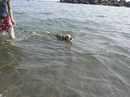 img20060727_4.jpg