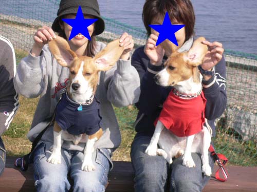 img20051128_2.jpg