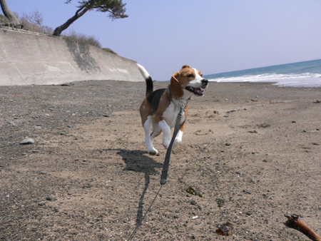 img20050324_2.jpg