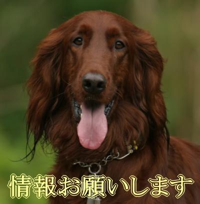 img20050825.jpg