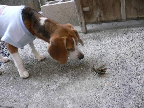img20071117_1.jpg