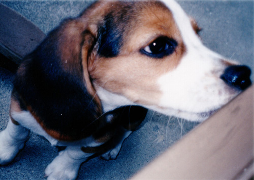 img20060529_6.jpg