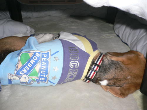 img20061124_4.jpg