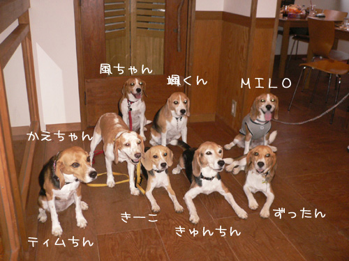 img20060828_1.jpg