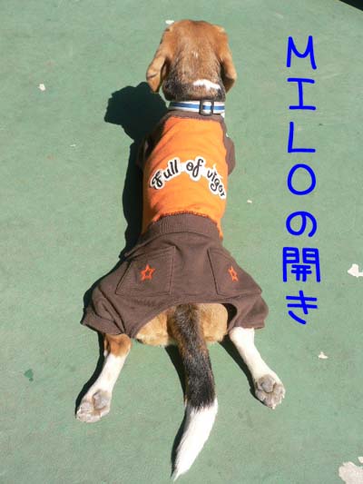 img20060326_3.jpg