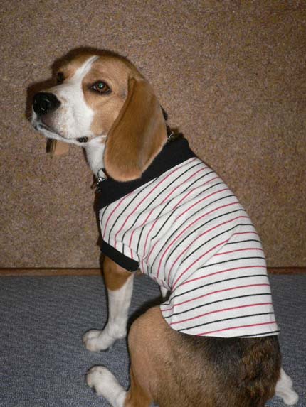 img20050622_2.jpg