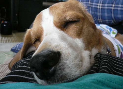 img20050628_1.jpg