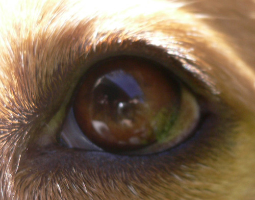 img20060927.jpg