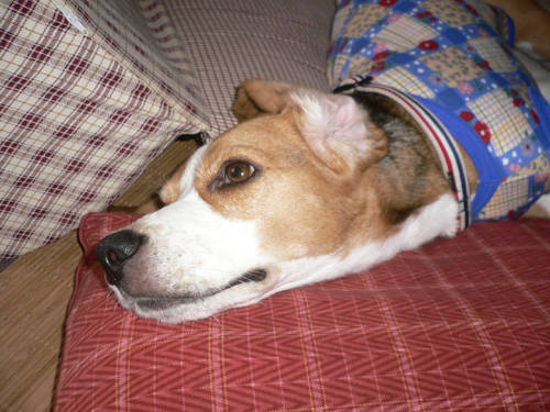 img20060930_3.jpg