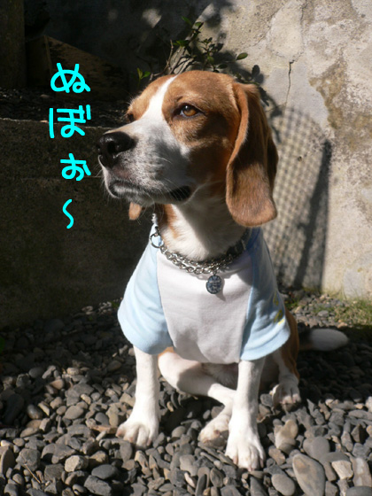 img20061031_3.jpg