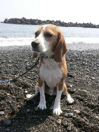 img20060727_6.jpg