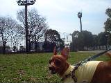 2005.03.16.jpg