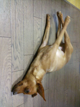 20070319.jpg