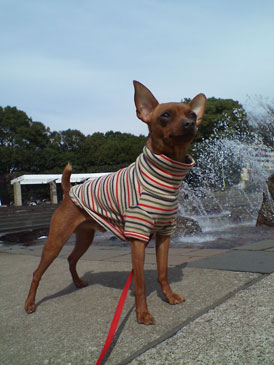 20070302.jpg