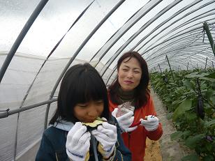 img20091126_1.jpg