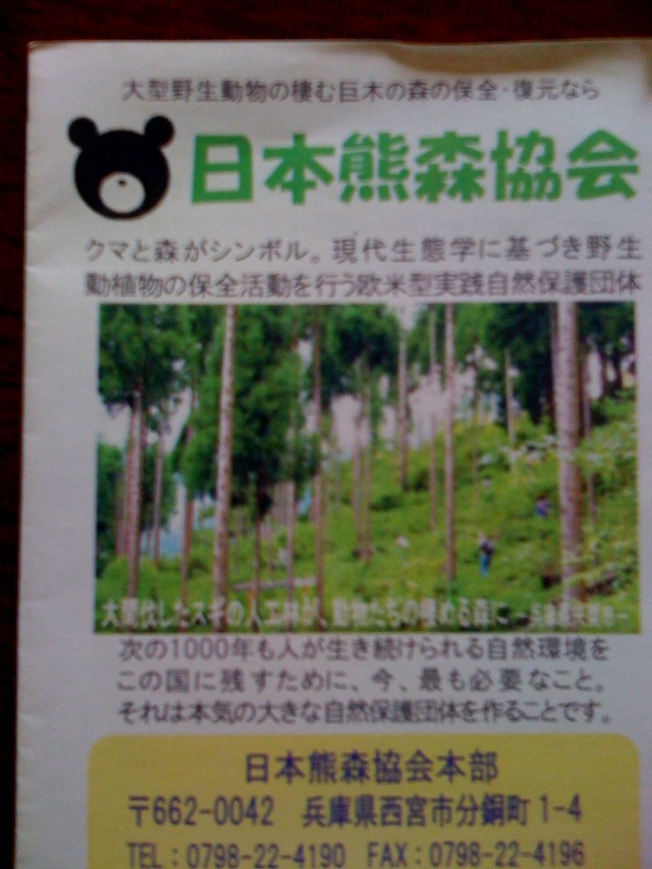 kuma2.jpg