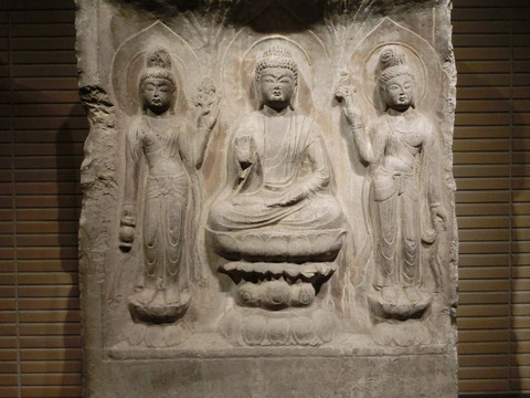 sCIMG7795