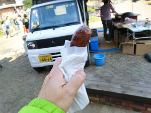sCIMG6413