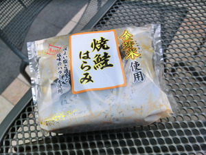 sCIMG8467