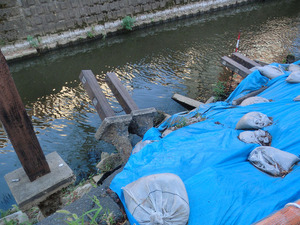 sCIMG1735