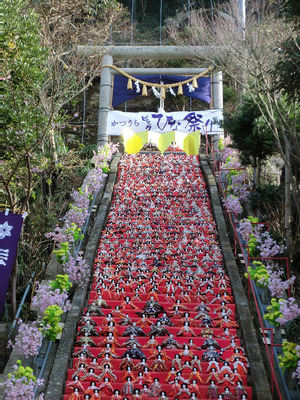 bsCIMG7504