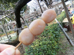 bsCIMG7102