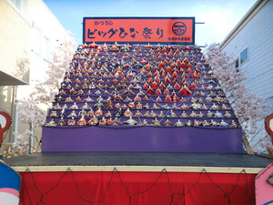 bsCIMG7517